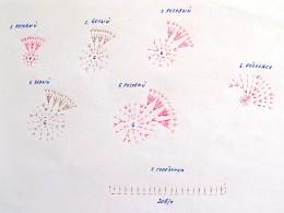 вязаные цветы крючком схема фото